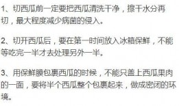 吃瓜人全文免费阅读