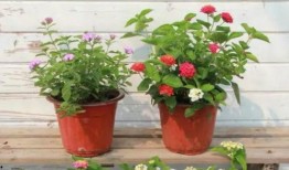 宿迁热点爆料事件视频最新,惊曝事件视频引发全网热议