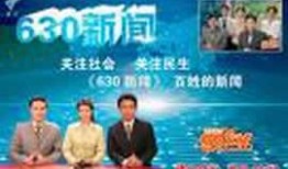 广州电视台爆料新闻,重大新闻事件深度解析