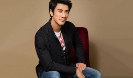 吃瓜网红王力宏是谁,从歌手到网络红人的跨界传奇