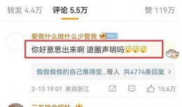 大粉连麦爆料视频大全最新,视频大全背后的惊人真相