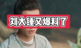 刘大锤爆料辛巴视频播放,揭秘背后惊人真相