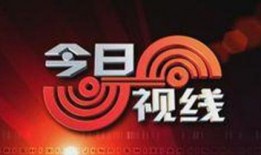 汕头今日视线 爆料电话,神秘电话事件引发关注