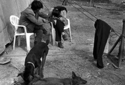 流浪摄影师爆料视频大全