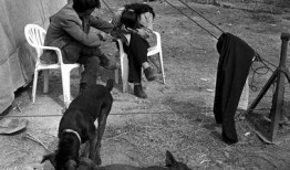 流浪摄影师爆料视频大全