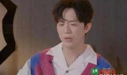 吃瓜网红王力宏是谁,从歌手到网络红人的跨界传奇