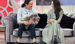 戴佩妮最新爆料,揭秘音乐背后的故事与心路历程