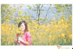 春天里全集在线观看,全景呈现我国春日风情