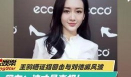 刘美丽最新爆料消息视频,揭秘视频背后的惊人真相