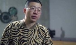 王少伟爆料赵正平视频播放,王少伟揭露赵正平视频播放内幕