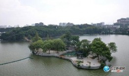 甘棠公园爆料最新消息视频