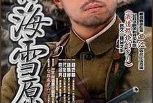 电视剧林海雪原在线观看,传奇英雄的雪地征程，重温经典革命故事