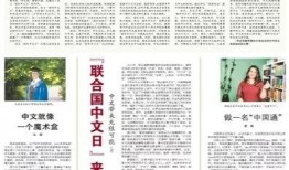 爆料新闻素材摘抄,爆料新闻背后的惊人真相