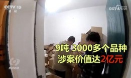 瓶子爆料全过程视频,揭秘事件真相与幕后黑幕