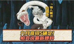 帕克爆料抽奖视频,揭秘抽奖视频背后的秘密与惊喜