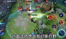 小新王者爆料视频下载,揭秘游戏幕后秘密与精彩瞬间