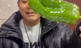 临沂吃瓜网红事件视频最新