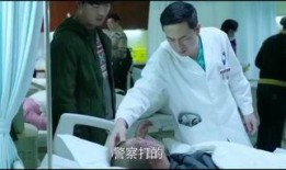 帕米尔医生在线观看,跨越高原的医者传奇