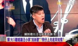 是谁爆料的汪小菲视频播放,幕后爆料者身份引热议