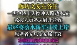 文安网友爆料视频最新版,揭秘事件真相