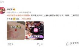 娱乐真爆料,真爆料背后的故事与真相