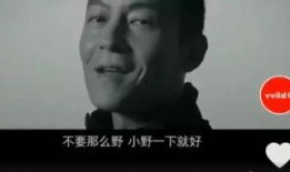 罗永浩爆料片段视频下载,揭秘科技圈幕后故事