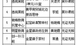 葫芦岛补课爆料视频,揭秘背后真相与教育乱象